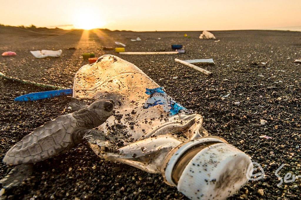 ¡Cuidemos el planeta! #noseasplastico